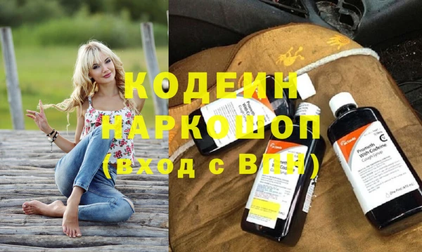 индика Покачи