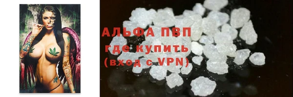 индика Покачи