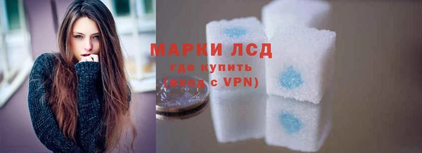 индика Заволжье