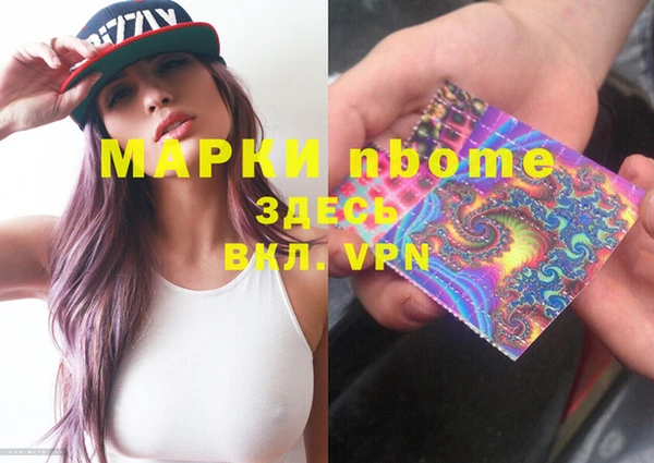индика Покачи