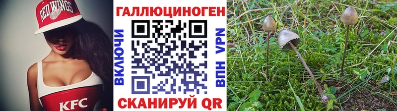 Псилоцибиновые грибы Psilocybe  mega   Рошаль 